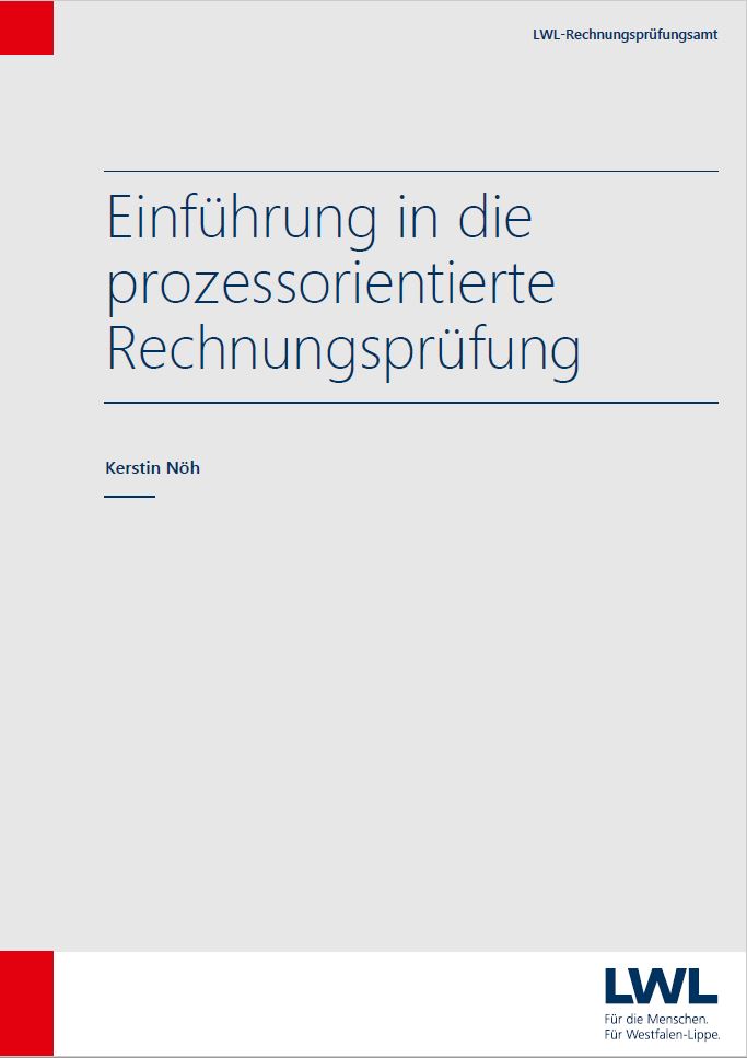 Einführung in die prozessorientierte Rechnungsprüfung